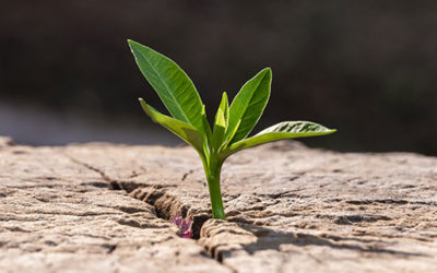 Le management du changement avec la théorie en U